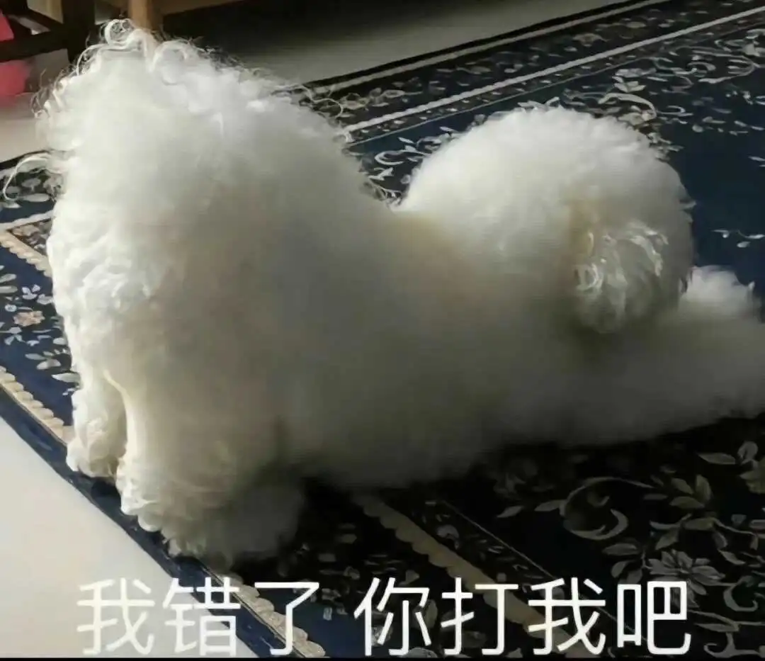 西檬之家sp小圈是什么意思?字母圈新人入圈 一