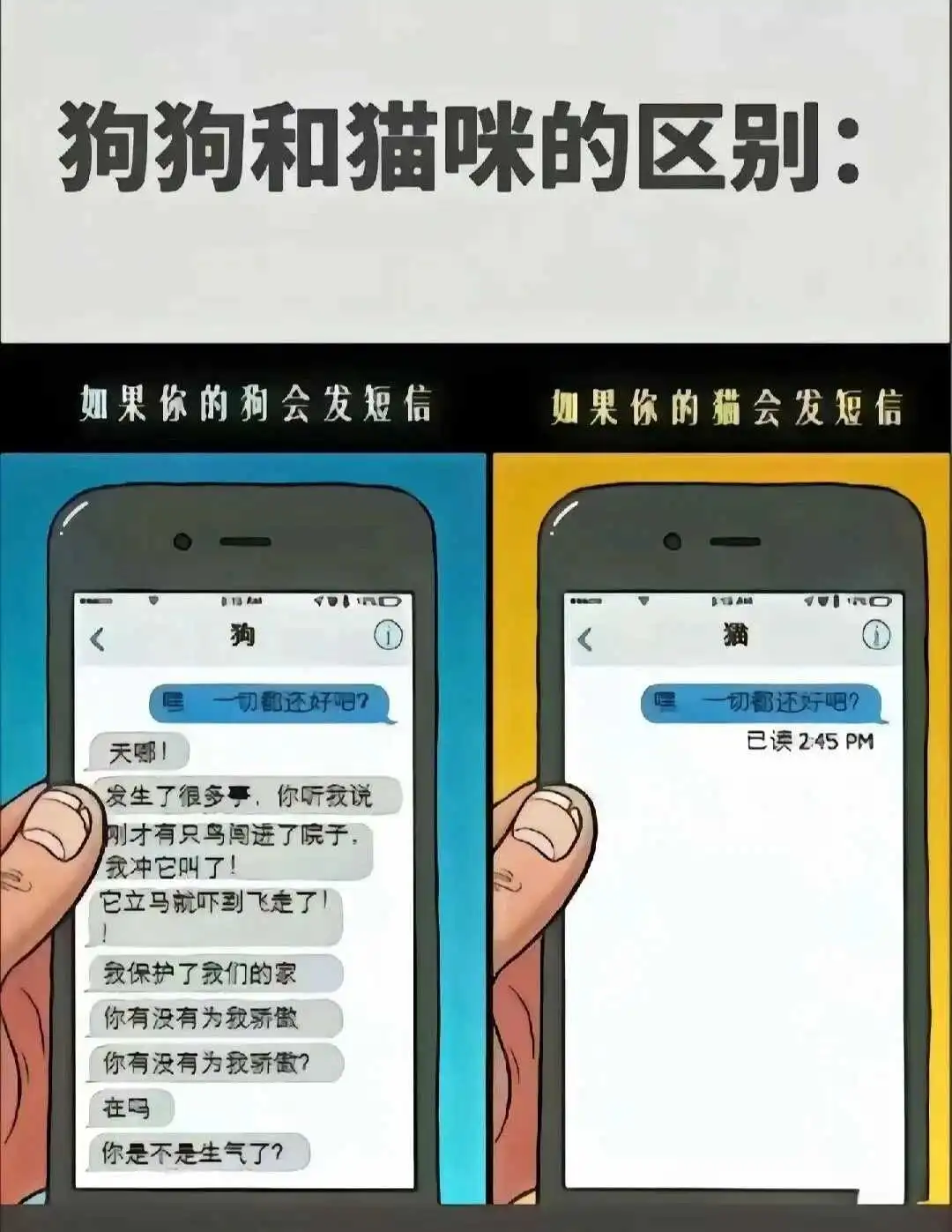 西檬之家字母圈圣水是什么? 一