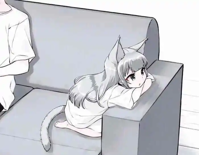 西檬之家Sub是什么?你的字母圈属性 一