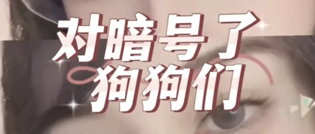 西檬之家k8是什么?你的字母圈属性 一