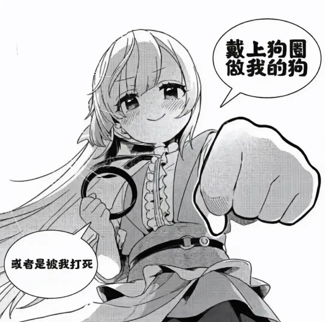 西檬之家字母圈的k9是什么? 一