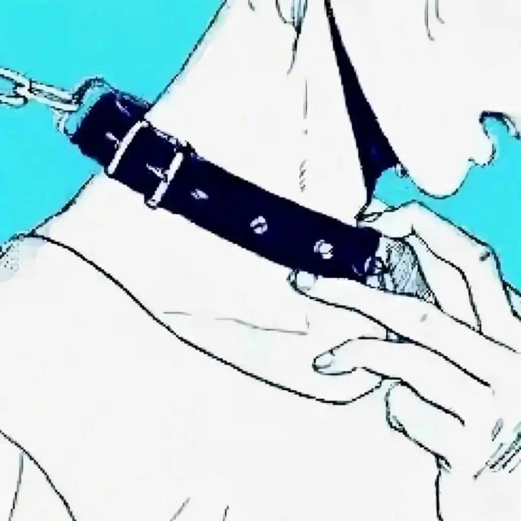 西檬之家字母圈的s属性是什么意思? 一