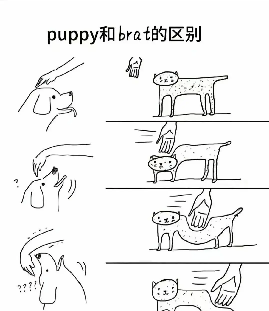 西檬之家字母圈圣水是什么意思? 一