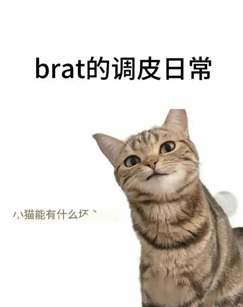 西檬之家字母圈里Dom到底是什么意思? 一