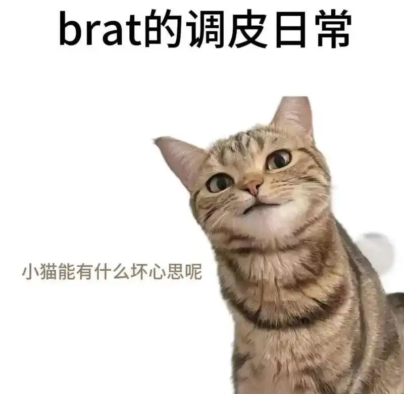 西檬之家SM亚文化是什么?新手如何入门? 一