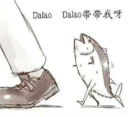 西檬之家k9犬系是什么?你的字母圈属性是? 一