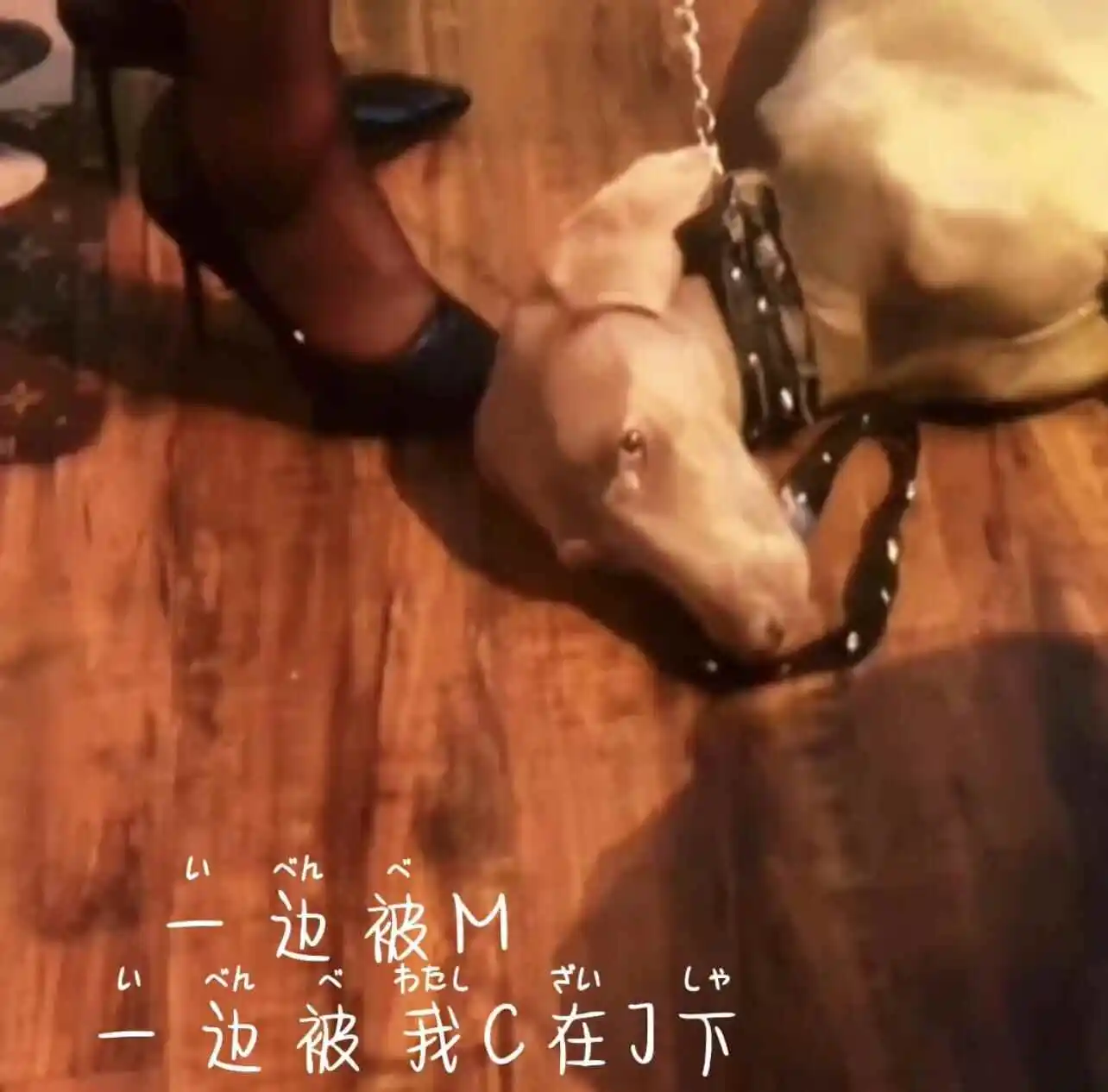 西檬之家S属性是什么意思? 一